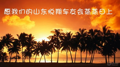 金色阳光下的免费短剧盛宴