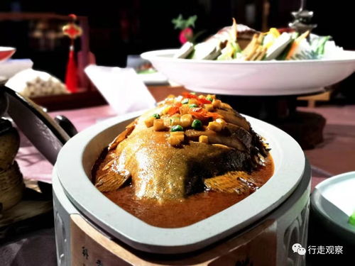 少年厨神，免费美食之旅