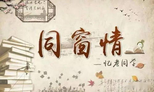 免费观看短剧人间物语，品味人生百态之旅