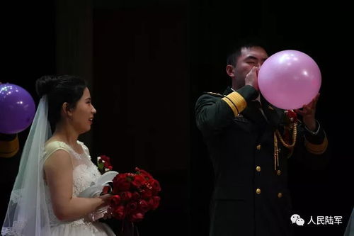 总裁的浪漫婚礼，免费短剧盛宴