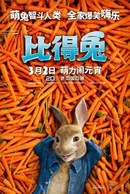 娇娇影视，免费短剧，畅享视觉盛宴