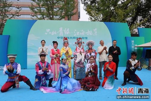 傣族短剧，免费体验独特文化