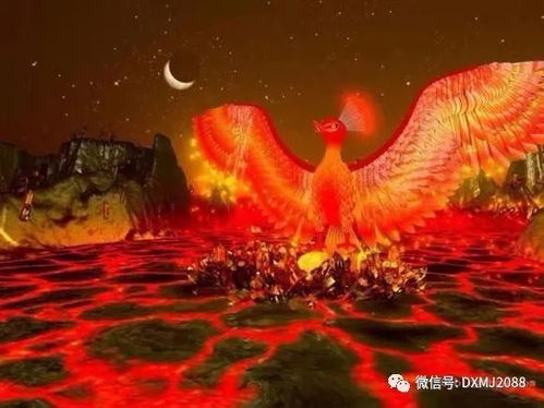 涅槃重生，免费尽享精彩短剧体验