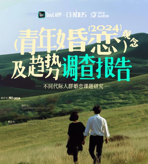 婚恋矛盾短剧，深度解析与免费观看