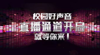 免费探索，斑马音乐短剧视听盛宴