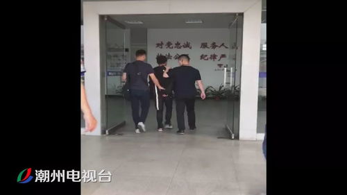 踩点抢劫与短剧的巧妙融合，免费观看的惊喜体验