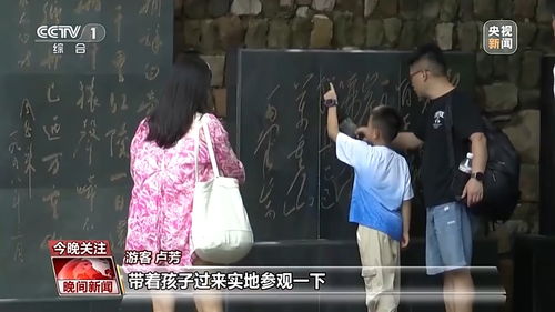 免费观看，甜蜜之旅中的偷偷宠爱