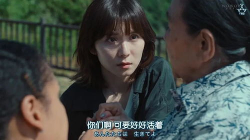 惊蛰之谜，免费短剧等你观看