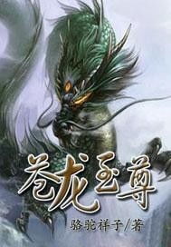 苍龙至尊免费观看指南