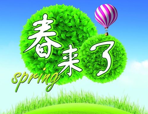 你好春天，一部免费观看的短剧