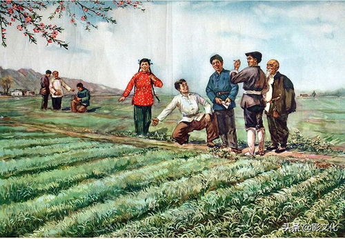 狂野农民短剧，免费欣赏乡村魅力