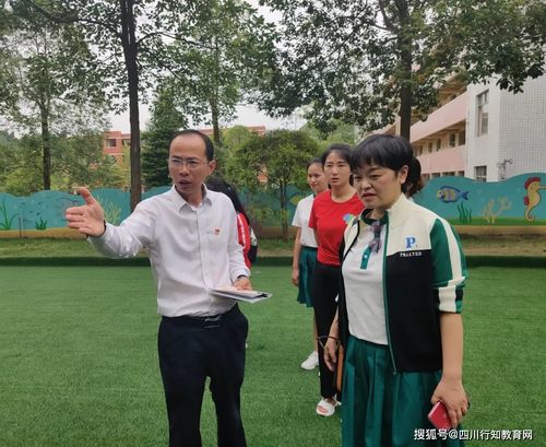 免费观看，青春热血成长记——校园大哥短剧