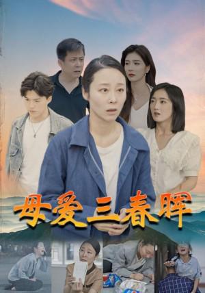 免费观看，女婿系列短剧，家庭情感与现代生活的交织演绎