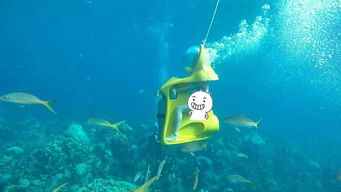 免费观看，浪漫之旅之粉色海洋短剧