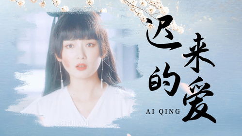 哑吧新娘，无声之爱——感人至深的短剧免费观看