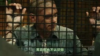 越狱姐妹，解锁自由之门——免费观看的短剧