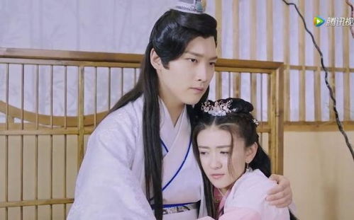 医生之妻，免费短剧的魅力世界