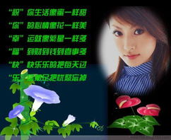 免费短剧观看，人间乐趣与魅力之所在
