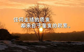 逆境至巅峰，免费观赏的励志短剧