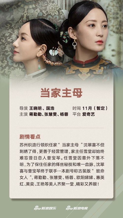 短剧财阀夫人免费观看指南