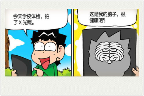 爆笑校园短剧，免费观看，笑到停不下来！