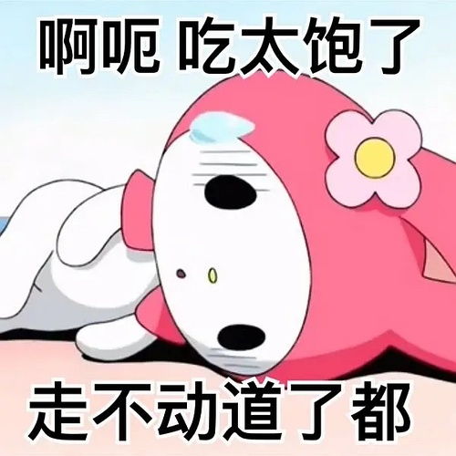 猪头妹妹，短剧的魅力之旅