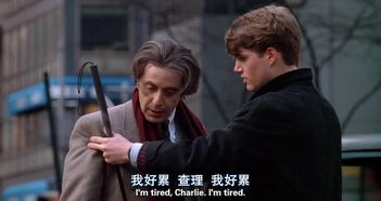 落魄男人逆境中的启示与希望，免费短剧欣赏