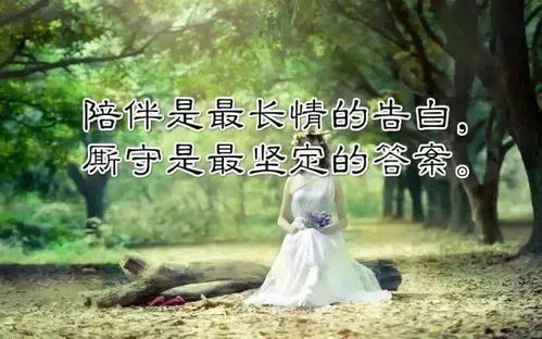 离别祝福，一部温暖心灵的免费短剧