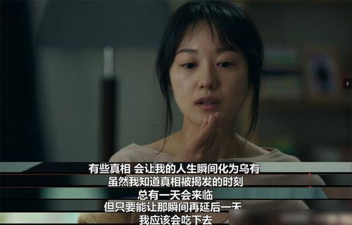 免费观看，间谍爱情短剧，情感与悬疑的交织之旅