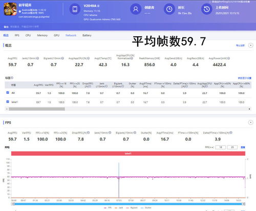 免费观看短剧，魅力与价值的下跪体验