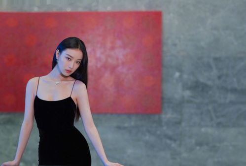 高雅贵妇生活，免费短剧新体验
