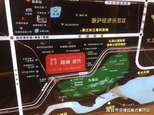 夫妻决裂，一部免费短剧深度解析