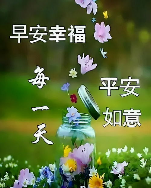 免费观看，妻子生日短剧，甜蜜祝福与温馨礼物