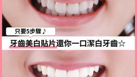 以牙还牙，精彩12集短剧免费观看
