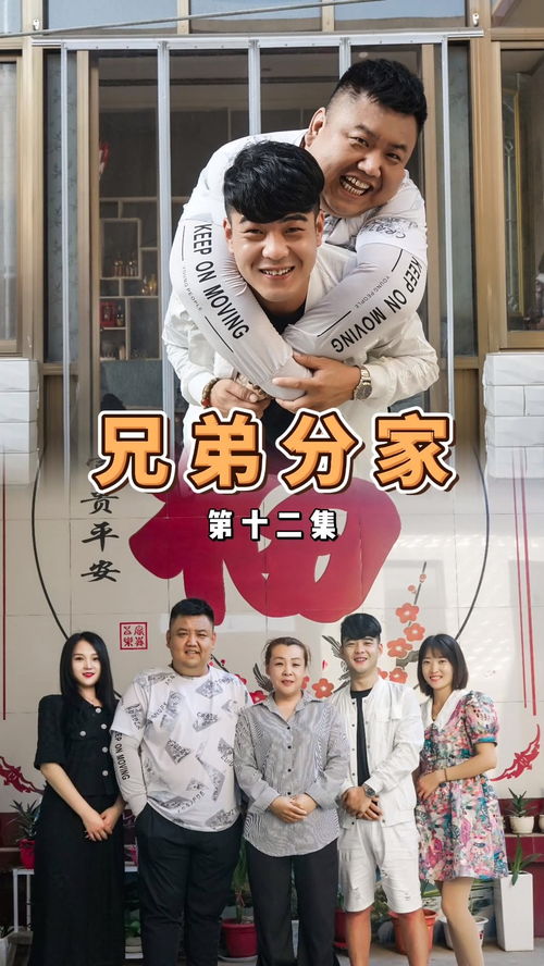 情感与忠诚的侍卫短剧，夫妻间的守护