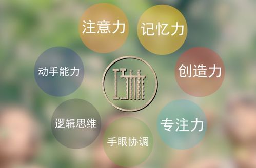 传统智慧与现代娱乐的融合，免费观看算命看相短剧