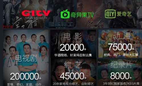 免费观看电视短剧惊梦，视觉与心灵的双重盛宴