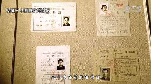 免费畅享，百集精彩短剧等你来观看
