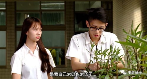 师姐救命，国语版免费观看