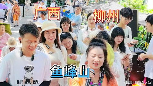 免费观看精彩短剧，与老张的问候