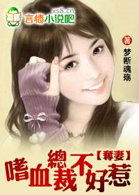 总裁夺妻，免费观看指南