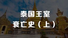 浴火重生免费短剧深度解析与观影体验