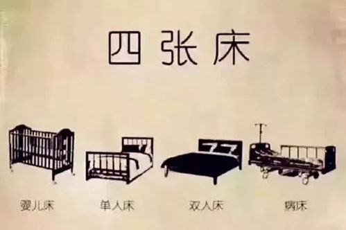 反转人生免费短剧深度解析，人生逆境中的启示与思考