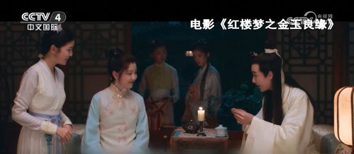 夏家女婿的魅力之旅，免费短剧，精彩世界等你探索