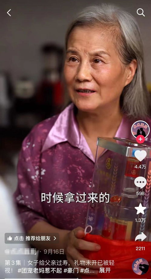 免费观看豪门婆婆短剧，视觉盛宴尽在此处