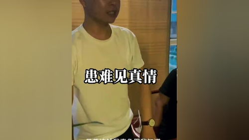 免费观看，令人感动的瞬间短剧精选