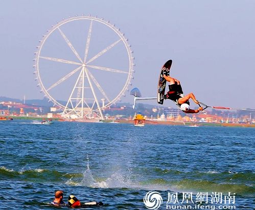 乘风破浪，免费短剧的乐趣与魅力之旅