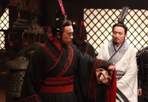 大秦憨子短剧，免费高清精彩世界