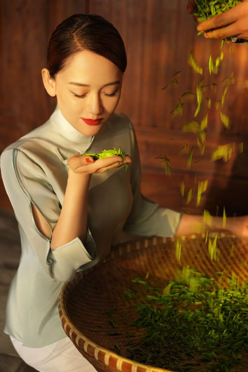 品味绿茶文化，女同学演绎的短剧免费欣赏