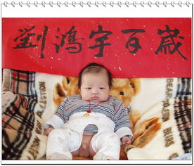阿呆的宝宝诞生记——免费观看的短剧